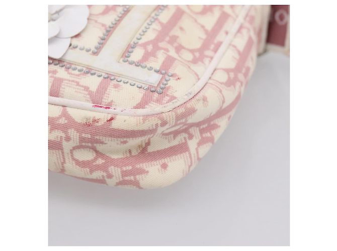 Bolsa de Ombro Christian Dior Trotter PVC Rosa Prata Auth mr2945 - vista 15