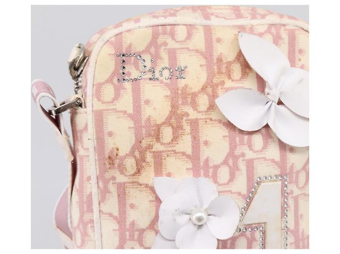 Bolsa de Ombro Christian Dior Trotter PVC Rosa Prata Auth mr2945 - vista 19