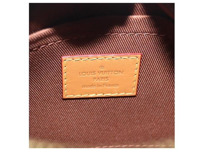 LOUIS VUITTON Monogram Mini Soft Trunk Shoulder Bag M68906 LV Auth 206272SAM Monogramma - vista 21