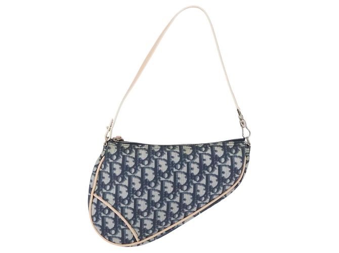 Pouch Saddle Christian Dior Trotter Canvas PVC Blue Silver Auth ka6323V Argento - vista 13
