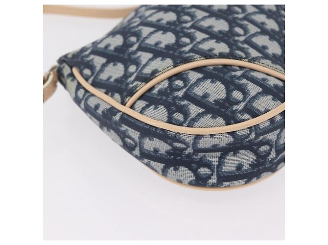 Pouch Saddle Christian Dior Trotter Canvas PVC Blue Silver Auth ka6323V Argento - vista 14