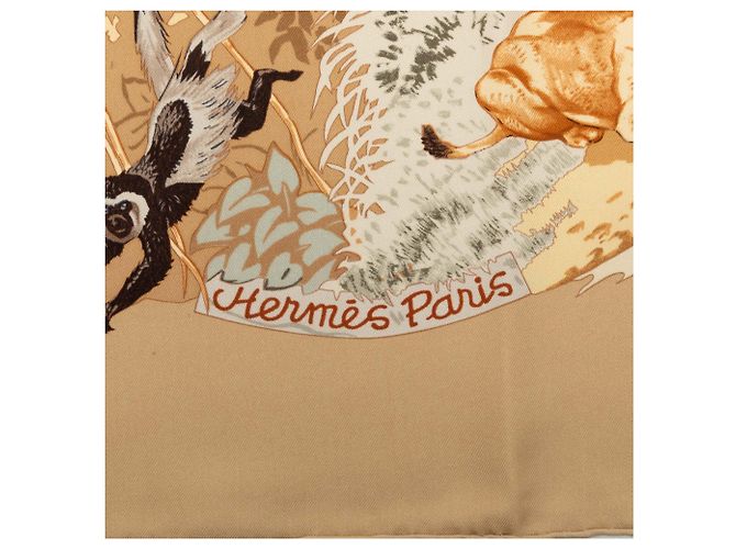 Foulard in seta Hermès Africa marrone 90 Scarves - vista 6