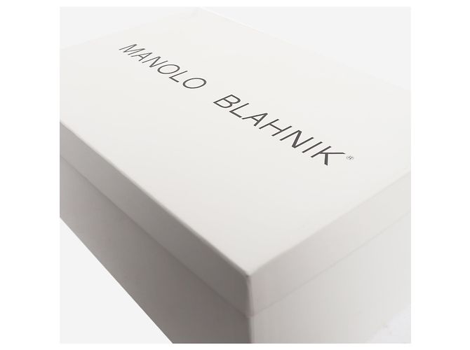 Manolo Blahnik Décolleté Grey Hangisi 90 - taglia EU 38.5 Grigio - vista 6