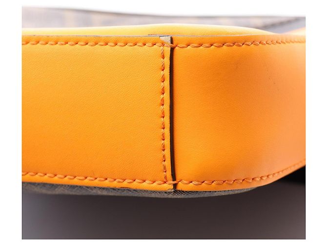 Zucca Fendi Diagonal Camera Case Marrone Arancione - vista 5