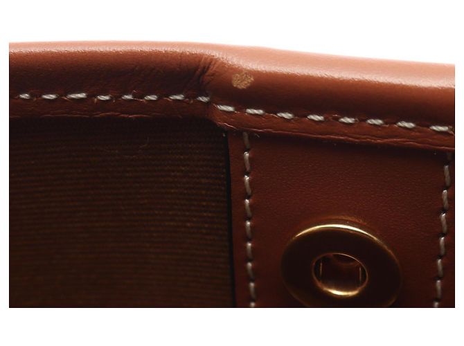 Céline Celine Triomphe Medium Bucket Shoulder Bag Brown - view 8