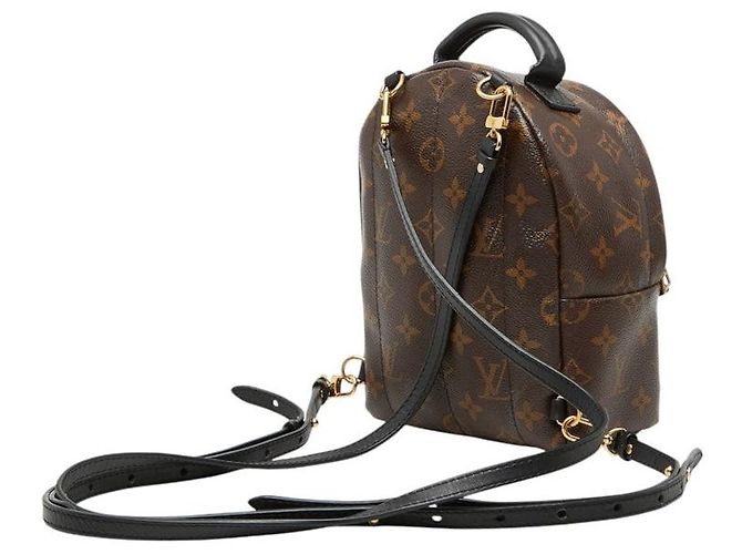 Mochila Louis Vuitton Palm Springs Mini Monogram Multicolor - vista 2