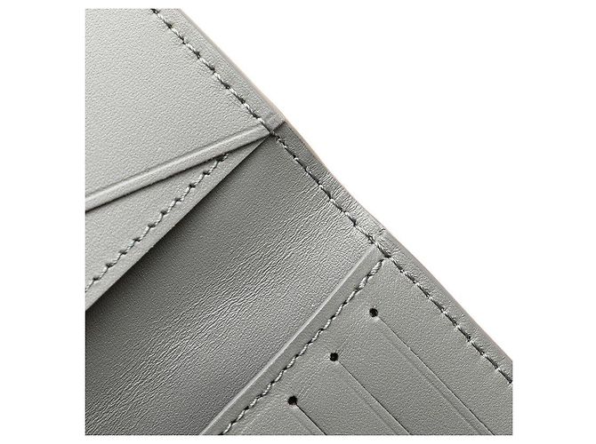 Louis Vuitton Organizer de Poche Card Case Gris - vista 9