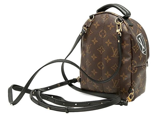 Louis Vuitton Palm Springs Mini Rucksack Braun - Ansicht 2