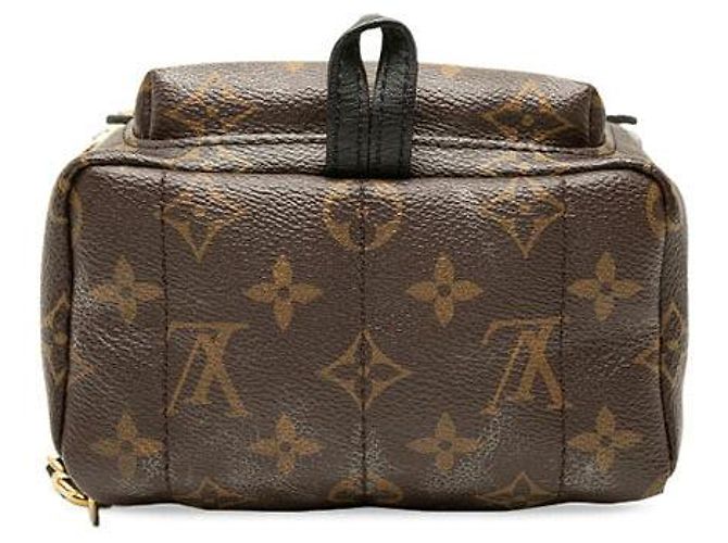 Louis Vuitton Palm Springs Mini Rucksack Braun - Ansicht 3