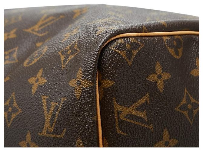 Bolsa de mão Louis Vuitton Speedy 30 Marrom - vista 5