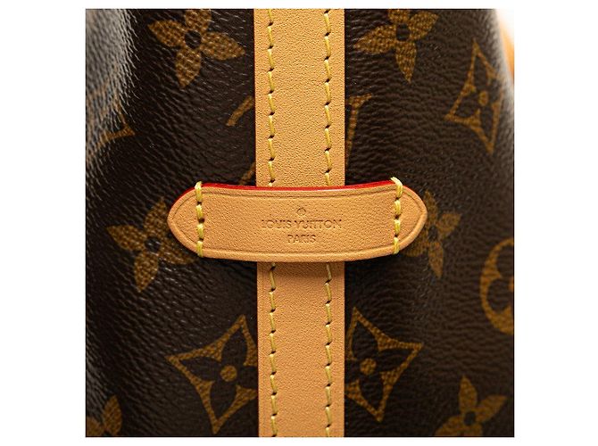Borsa a tracolla Louis Vuitton Carryall NM MM M46197 Marrone - vista 6
