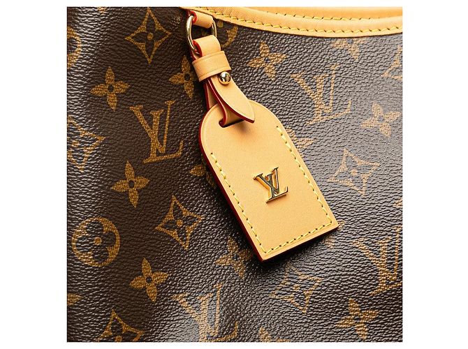 Borsa a tracolla Louis Vuitton Carryall NM MM M46197 Marrone - vista 8