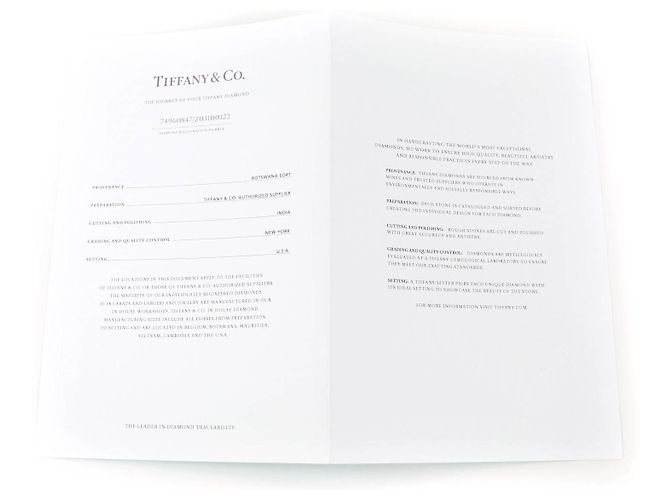 Tiffany & Co Collana TIFFANY&Co. By the yard PT950 Argento - vista 10