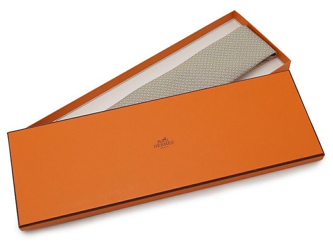 Hermès Silk Tie Blue Beige - view 5