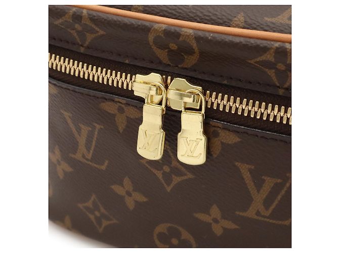 Bolso pouch Louis Vuitton Monogram Nice Mini Castaño - vista 6