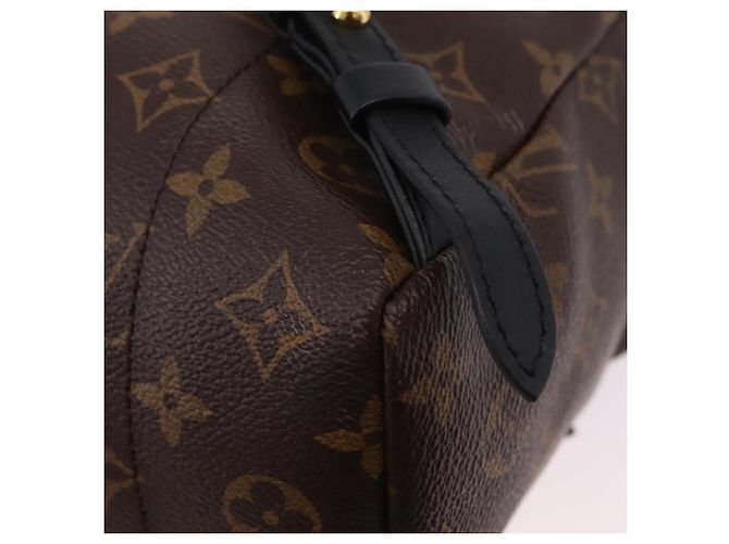LOUIS VUITTON Monogram Reverse Palm Springs PM Rucksack M43116 LV Auth ka6320V Monogramm - Ansicht 19