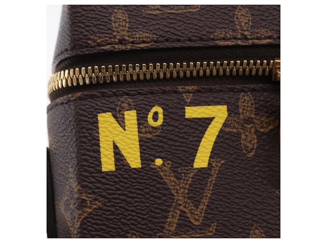 LOUIS VUITTON Monogram Vertical Box Trunk Shoulder Bag M59664 LV Auth LN212SM Monograma - vista 24