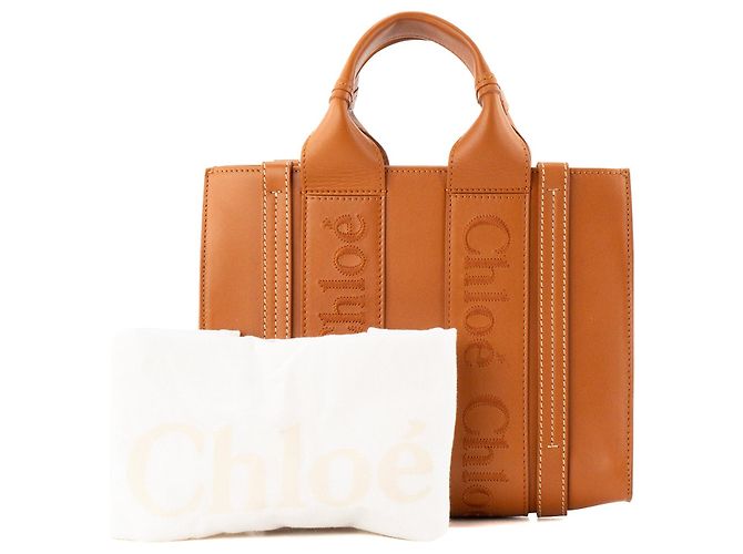 CHLOÉ - Borsa a tracolla Woody Small Chloé in pelle liscia camel Cammello - vista 9