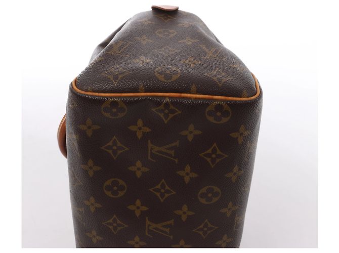 Borsa a mano Louis Vuitton Speedy 25 Monogram in marrone M41528 - vista 8
