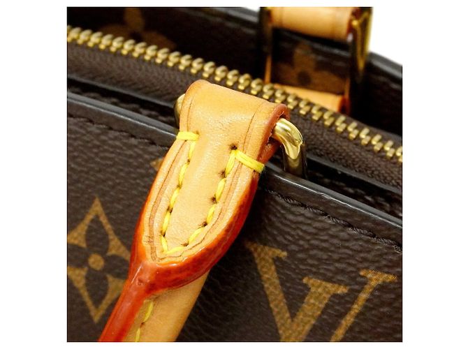 Bolso Louis Vuitton Monogram Petit Palais PM Castaño - vista 8