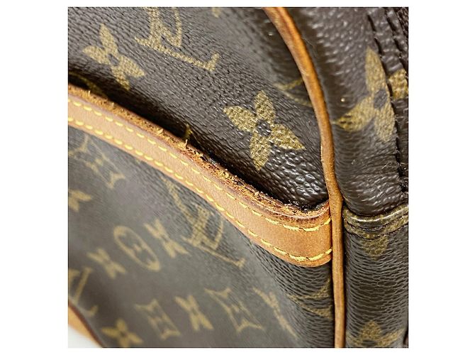 Bolsa de Ombro Louis Vuitton Monogram Danube Marrom - vista 6