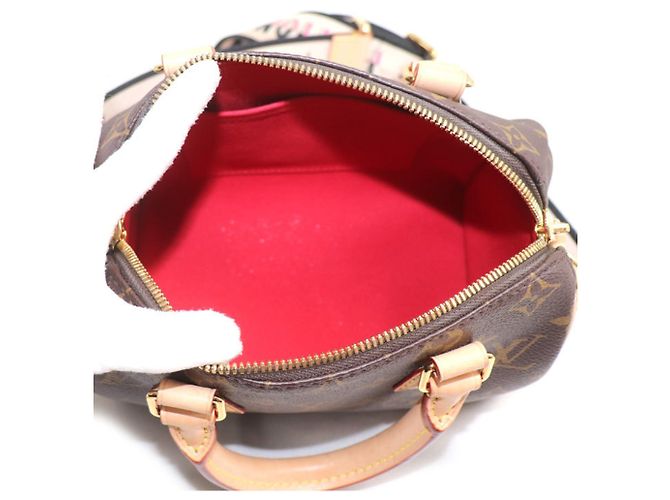 Louis Vuitton Speedy Bandoulière 20 Borsa a tracolla 2-Way - vista 4