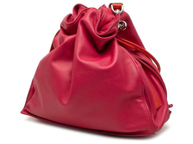 LOEWE Pink Bicolor Nappa Flamenco Tassel 30 Crossbody Rosa - vista 2