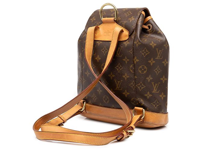 Louis Vuitton Brown Monogram Montsouris MM Marrone - vista 2