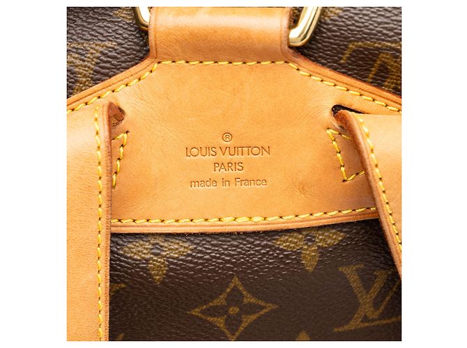 Louis Vuitton Brown Monogram Montsouris MM Marrone - vista 5