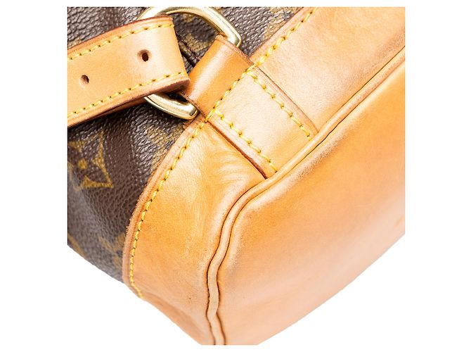 Louis Vuitton Brown Monogram Montsouris MM Marrone - vista 6