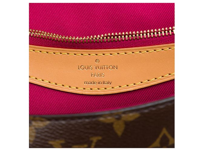 Louis Vuitton Brown Monogram Diane Castaño - vista 5