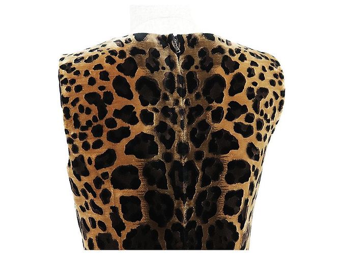 Dolce & Gabbana Dolce&Gabbana Samtkleid Braun Schwarz Hellbraun - Ansicht 6