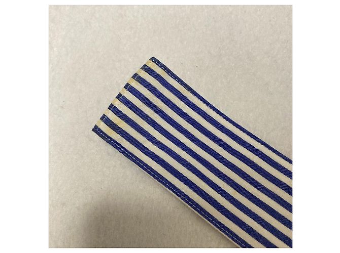 Autre Marque MACPHEE Camisa longa às riscas Azul - vista 5
