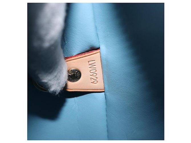 Borsa a mano LOUIS VUITTON Monogram Vernis Houston Baby Blue M91005 LV Auth ep15974 Blu chiaro - vista 12