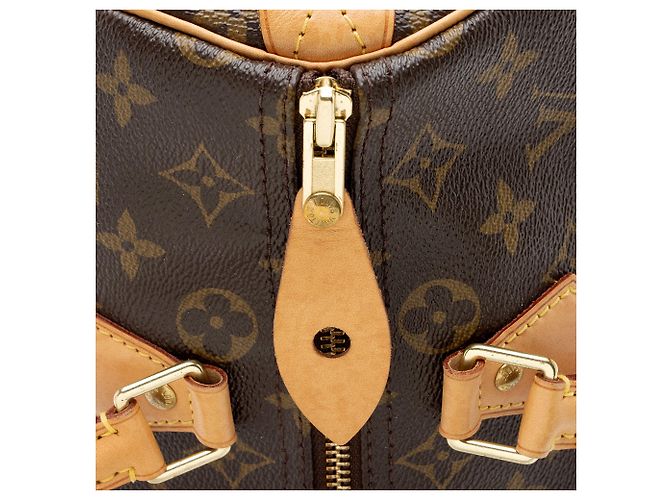 Bolso Louis Vuitton Monogram Canvas Speedy 30 Castaño - vista 9