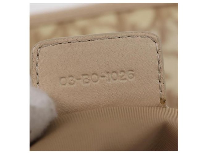 Borsa Tote a catena Christian Dior Trotter Canvas PVC Avorio Argento Auth 206261A Crudo - vista 12
