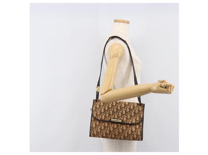 Borsa a tracolla Christian Dior Trotter Canvas Marrone Tono Oro Auth gh2408 - vista 27