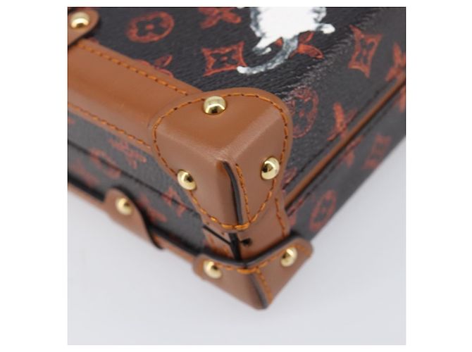 LOUIS VUITTON Borsa a tracolla Catgram Petite Mar M44407 LV Auth 204123SM Monogramma - vista 16
