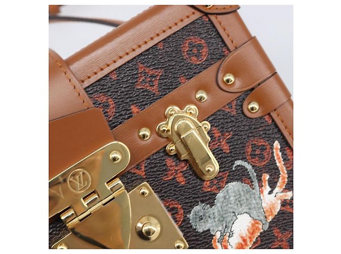 LOUIS VUITTON Borsa a tracolla Catgram Petite Mar M44407 LV Auth 204123SM Monogramma - vista 19