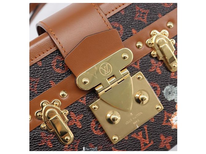 LOUIS VUITTON Borsa a tracolla Catgram Petite Mar M44407 LV Auth 204123SM Monogramma - vista 20