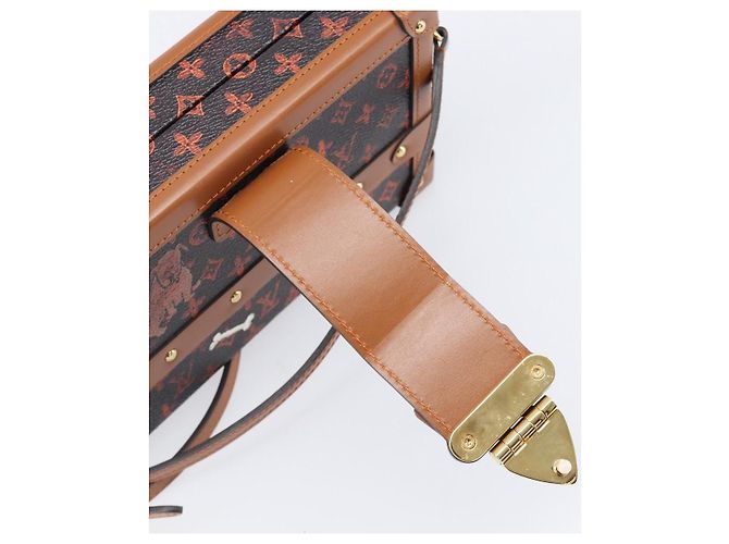 LOUIS VUITTON Borsa a tracolla Catgram Petite Mar M44407 LV Auth 204123SM Monogramma - vista 22