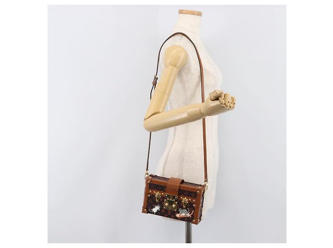LOUIS VUITTON Borsa a tracolla Catgram Petite Mar M44407 LV Auth 204123SM Monogramma - vista 28