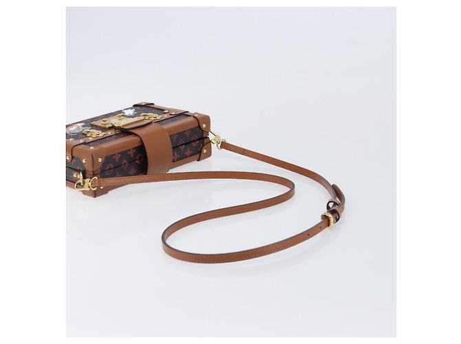 LOUIS VUITTON Borsa a tracolla Catgram Petite Mar M44407 LV Auth 204123SM Monogramma - vista 7