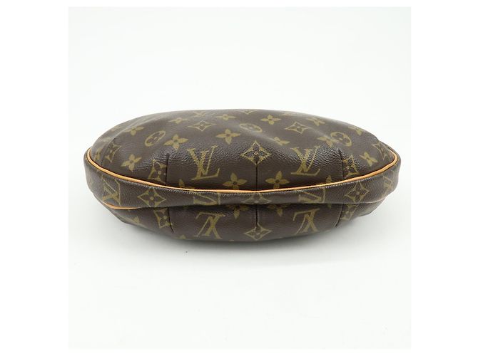 Louis Vuitton Croissant Monogram Canvas MM Marron - vue 5