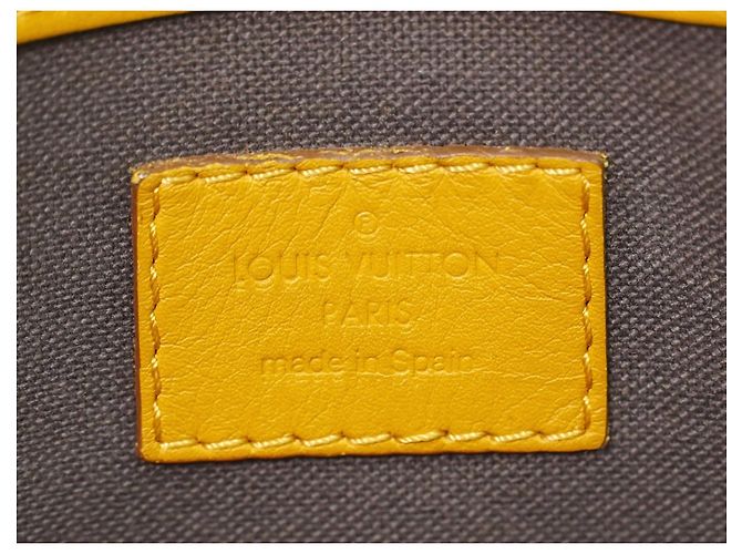 Louis Vuitton Tadao Damier Infini Leather MM Amarelo - vista 5