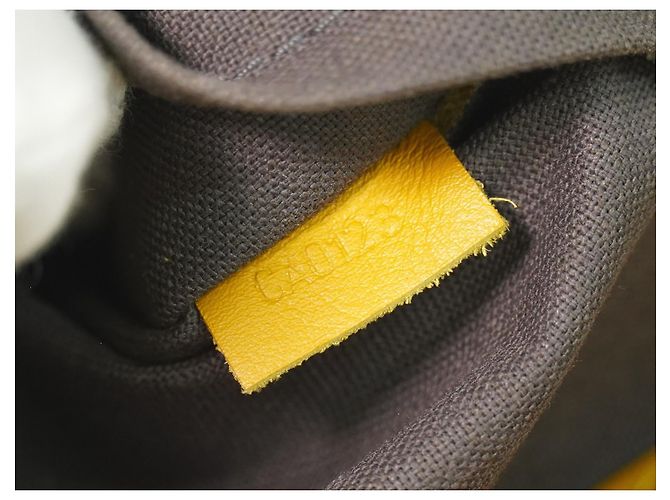 Louis Vuitton Tadao Damier Infini Leather MM Amarelo - vista 6