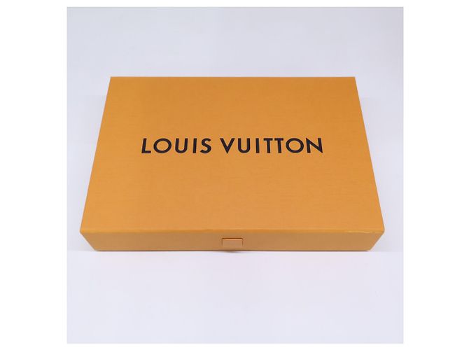 Gorro Louis Vuitton Modelo 2024 - vista 10