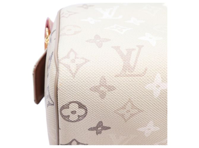 Neceser Louis Vuitton Monogram Surplus Canvas Beige - vista 6