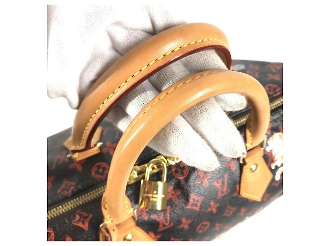 Louis Vuitton Monogram Catgram Cat Speedy Bandoulière 30NM Marrone Arancione - vista 10
