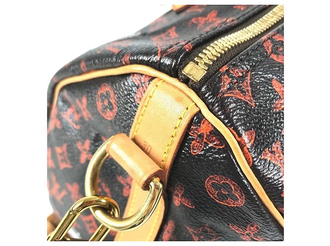 Louis Vuitton Monogram Catgram Cat Speedy Bandoulière 30NM Marrone Arancione - vista 11